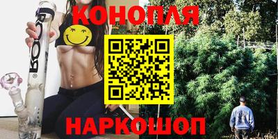 гашик Нальчик