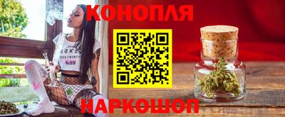 гашик Нальчик